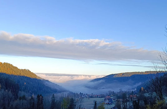 Elfriedes Furcht vor dem Frühling