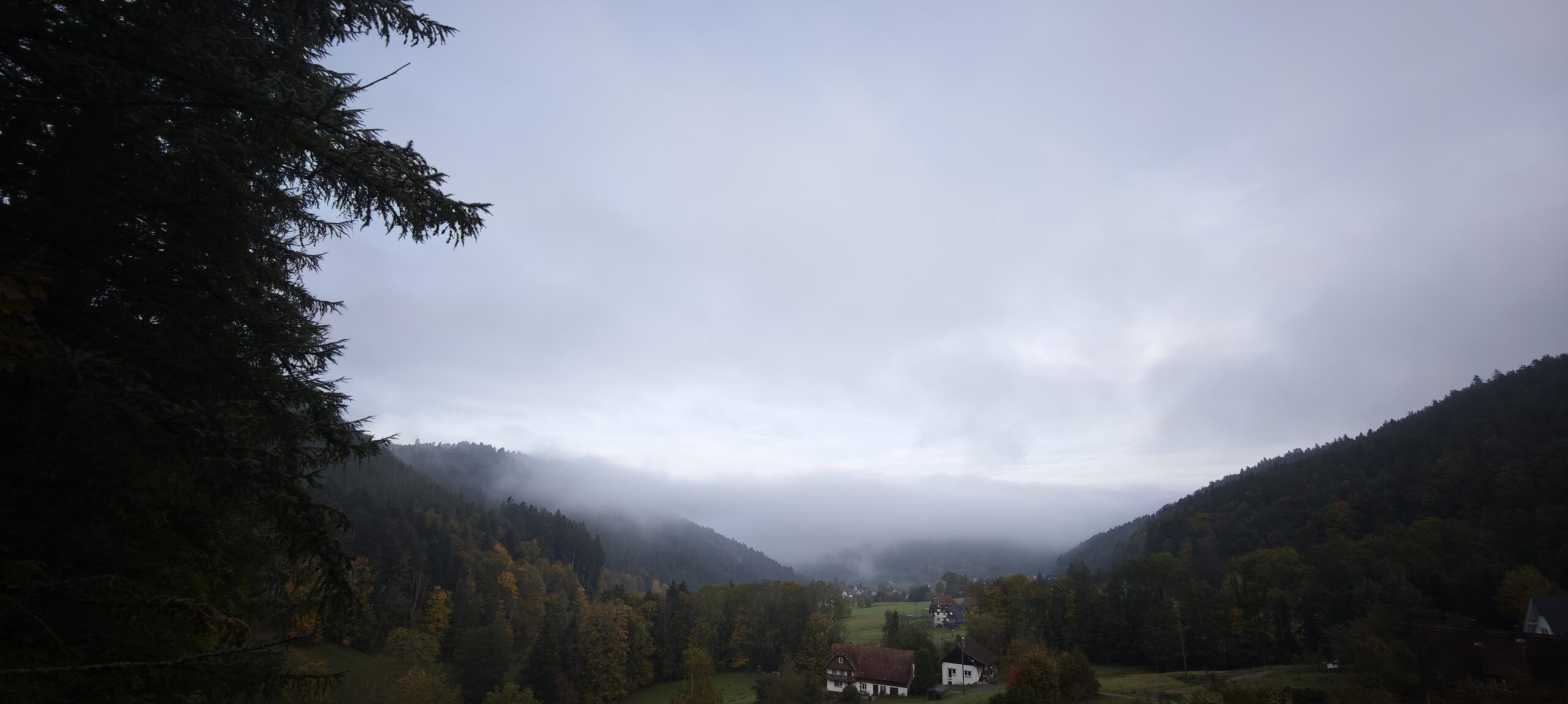 The romantic Black Forest